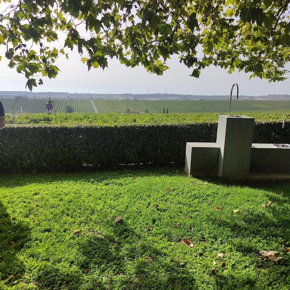 Picture 7 for Activity Thessaloniki: Winery Visit with Wine Tasting Experience