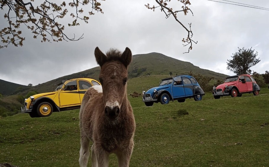 Picture 1 for Activity Family trip Biarritz in Citroen 2CV