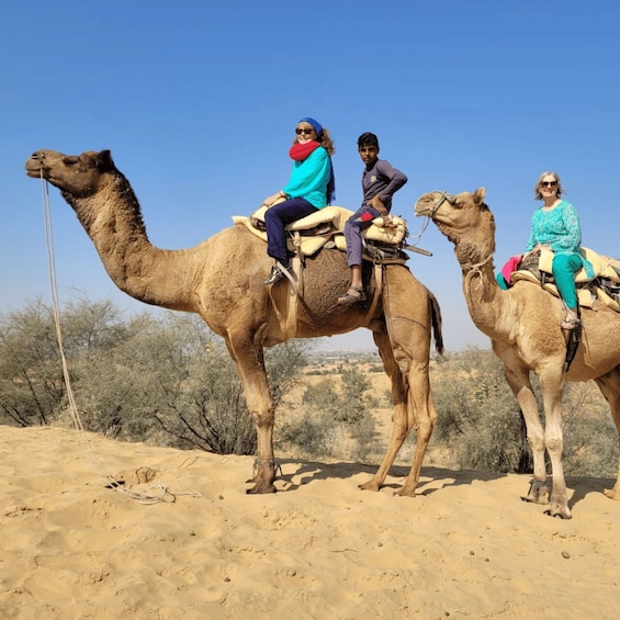 Picture 4 for Activity Jodhpur: Camel Safari & Sightseeing Tour With Sumer