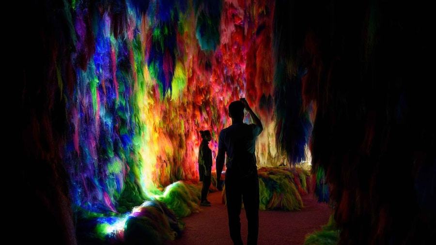 Reykjavík: Multi-Sensory Art Installation Chromo Sapiens