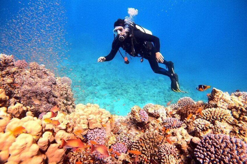 Enjoy a Scuba diving boat tour in Red sea , Aqaba .