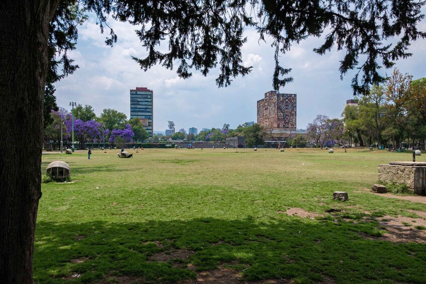 Picture 1 for Activity EXCLUSIVE TOUR: Murals & Stadium at Ciudad Universitaria