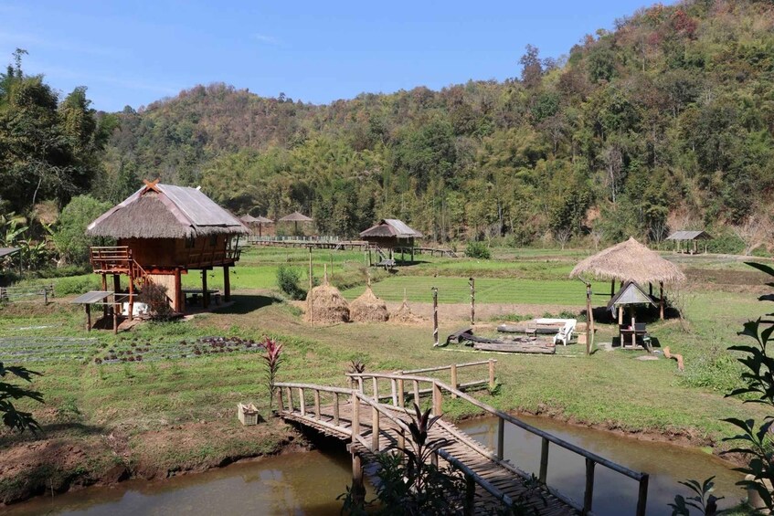 Chiangmai: Highlights Full-Day Tour with Private Driver