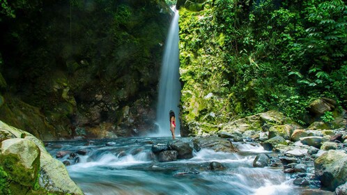 Guanacaste: Rainforest Land of Senses Walking Thermals Tour