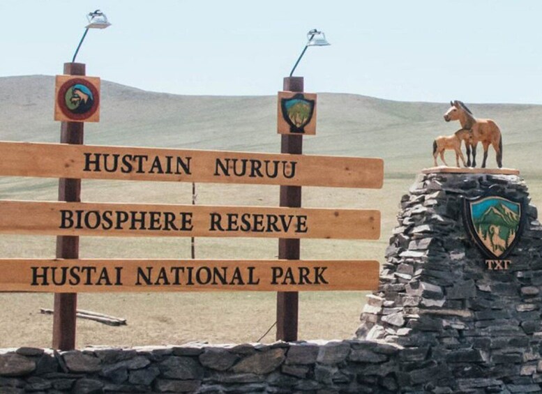 The Khustai National Park day tour