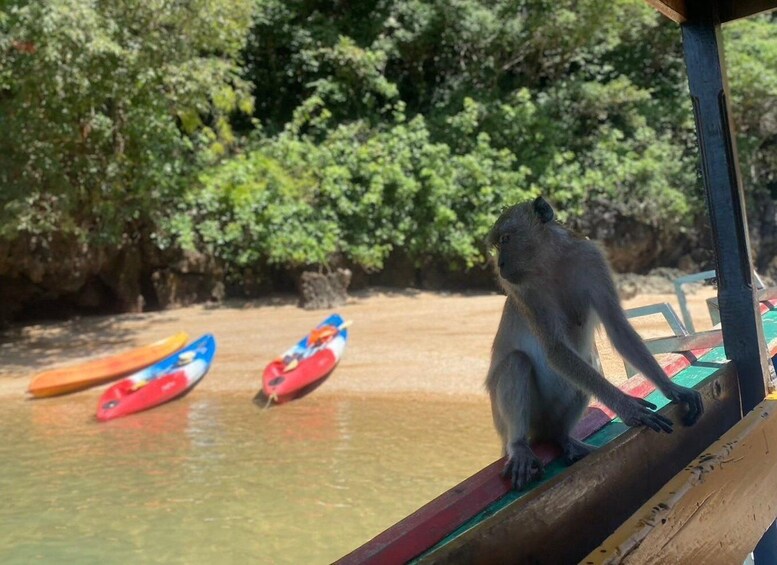 Picture 3 for Activity Ko Lanta: Mangrove Kayaking, Ko Talabeng, & Skull Island