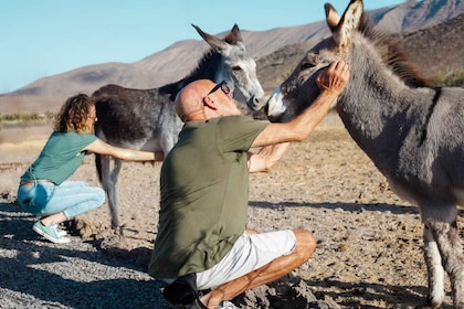 Fuerteventura Organic Farm Guided Tour with Optional Lunch