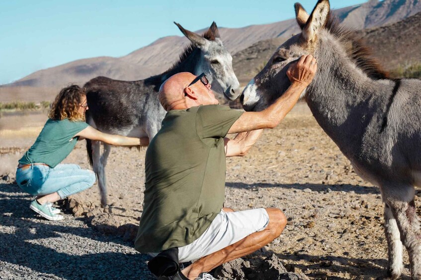 Fuerteventura Organic Farm Guided Tour w/ optional lunch