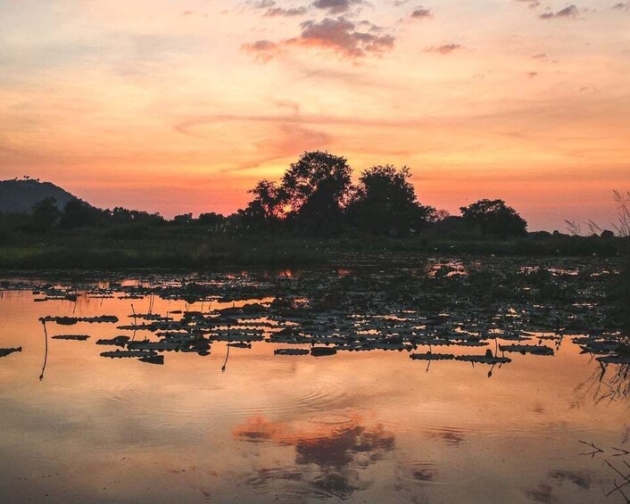 Picture 8 for Activity Old Siem Reap Sunset Food Tour by Tuk-Tuk