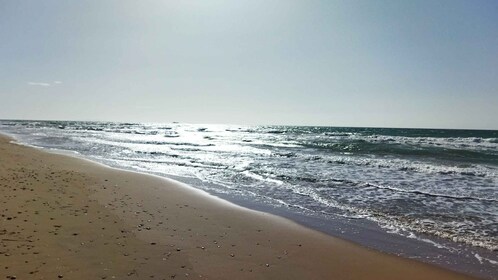 Corfú: tour privado de día completo por las playas del norte