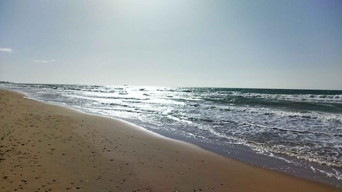 Corfou : Journée privée sur les plages du nord excursion