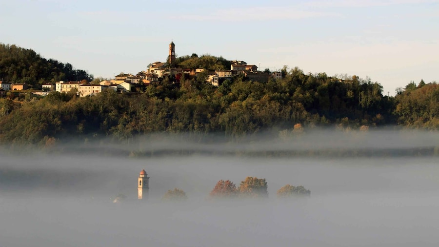 Volpedo: Piedmont Region Wine, Food, and Art E-Bike Day Tour