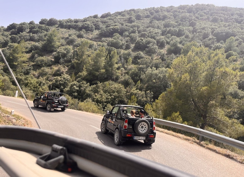 Picture 3 for Activity Mallorca: Self Drive 4x4 Jeepsafari Tour