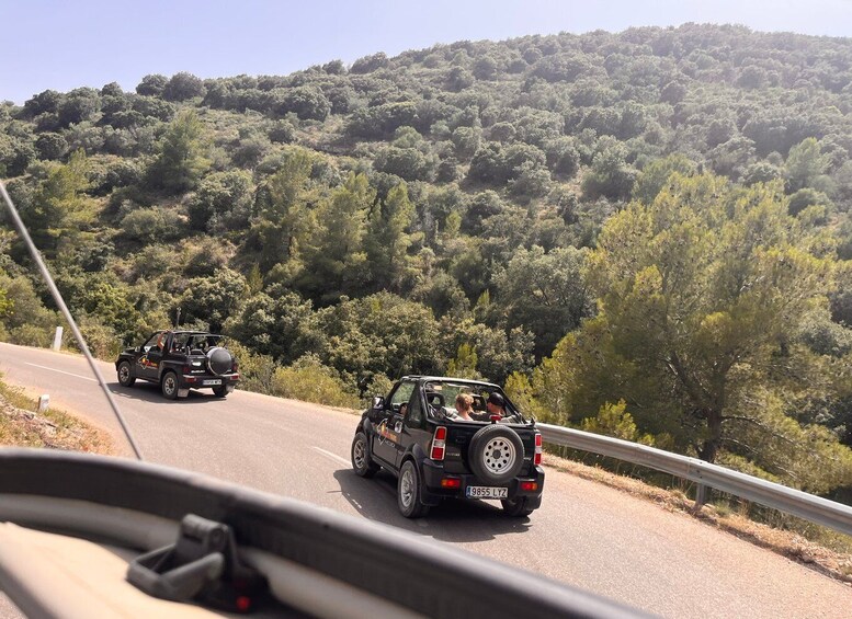 Picture 3 for Activity Mallorca: Self Drive 4x4 Jeepsafari Tour