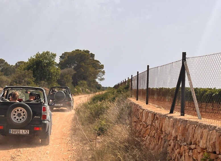 Picture 4 for Activity Mallorca: Self Drive 4x4 Jeepsafari Tour
