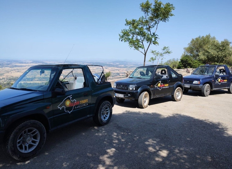 Picture 5 for Activity Mallorca: Self Drive 4x4 Jeepsafari Tour