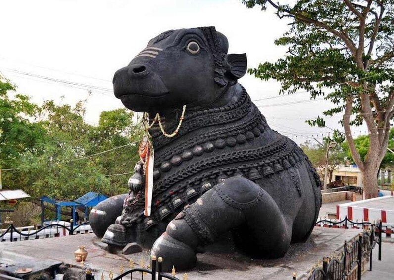 Picture 3 for Activity Walk of Divinity Bangalore (2 hours guided walking tour)