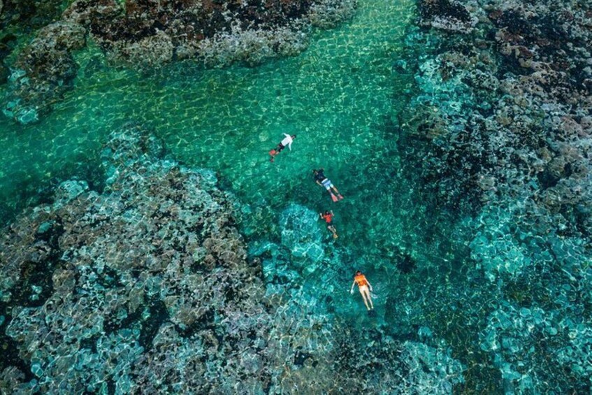 Picture 4 for Activity Huatulco: Premium Family Snorkeling Experience