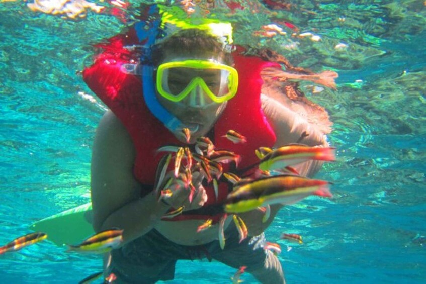 Picture 1 for Activity Huatulco: Premium Family Snorkeling Experience