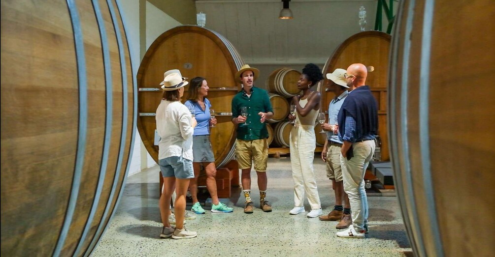 Picture 5 for Activity Cape Town: Iconic Constantia Food, Wine and Story Walk