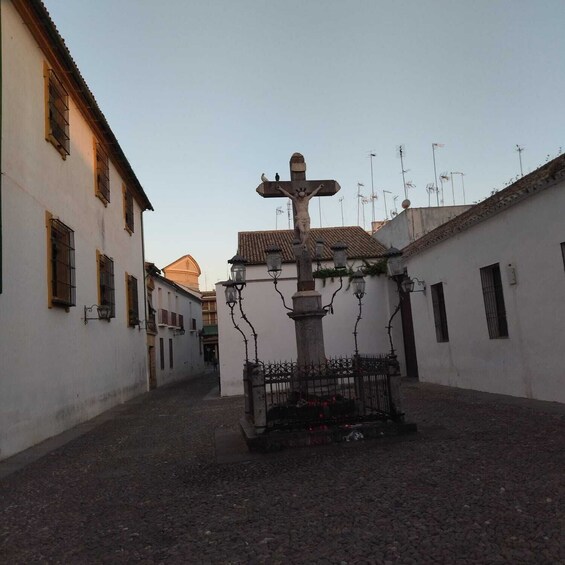 Picture 6 for Activity Running tour Córdoba