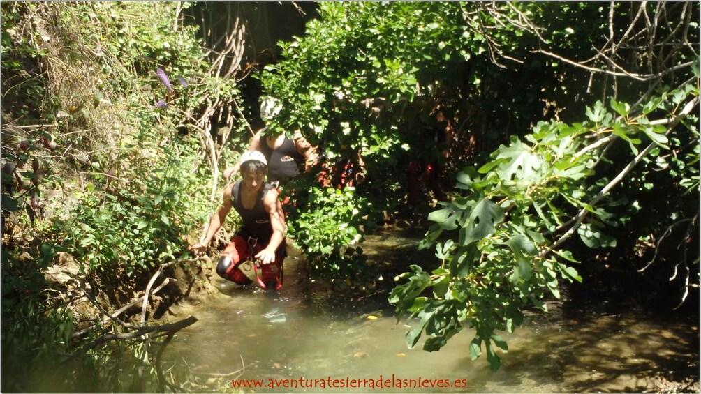 Picture 6 for Activity Private Group Adventurous canyoning in Málaga Biosphere Rese