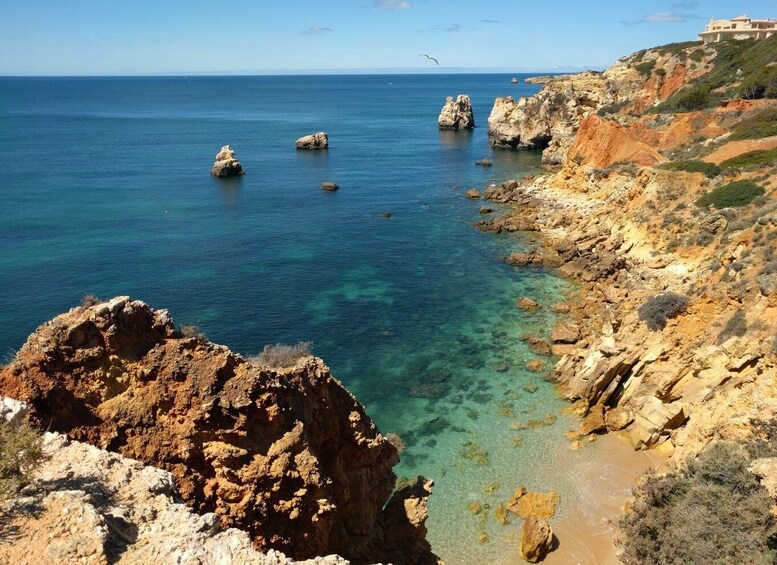 Picture 4 for Activity Albufeira Private Tours