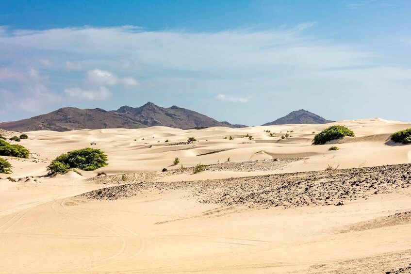 Picture 1 for Activity Boa Vista Full Day 4x4 Island Tour with Beachfront Lunch