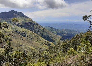 Ella: Pekoe Trail Etappi 15 Vaellus Makuelasta Ellaan