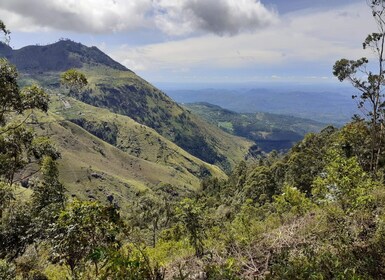 Ella: Jalur Pekoe Tahap 15 Trekking dari Makulela ke Ella