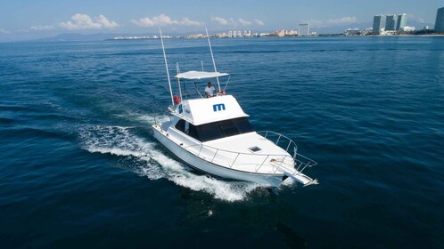 Bertram 38' Convertible Boat in Puerto & Nuevo Vallarta