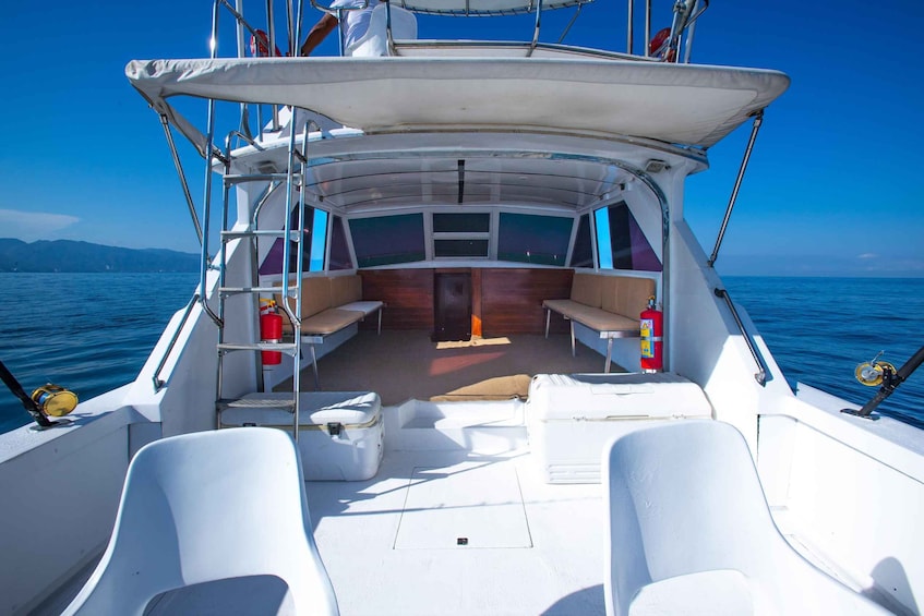Picture 9 for Activity Bertram 38' Convertible Boat in Puerto & Nuevo Vallarta