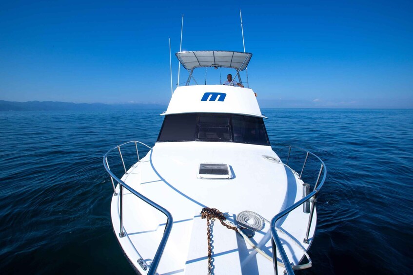 Picture 8 for Activity Bertram 38' Convertible Boat in Puerto & Nuevo Vallarta