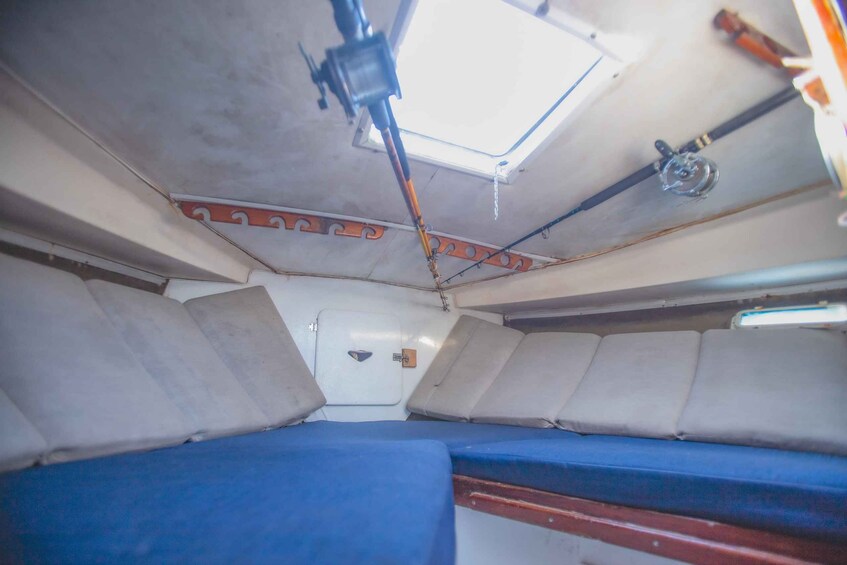 Picture 5 for Activity Bertram 38' Convertible Boat in Puerto & Nuevo Vallarta