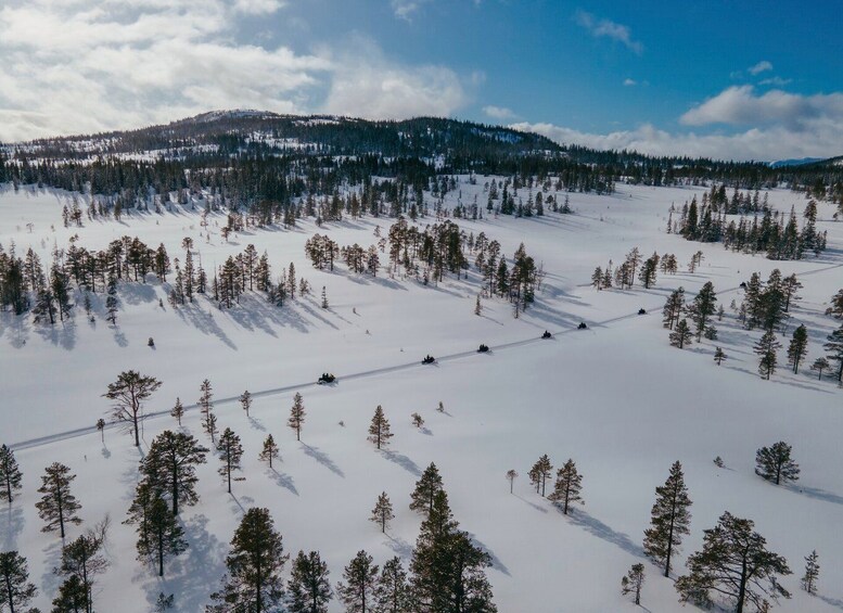 Picture 1 for Activity Snowmobile Safari in the mountains of Helgeland!