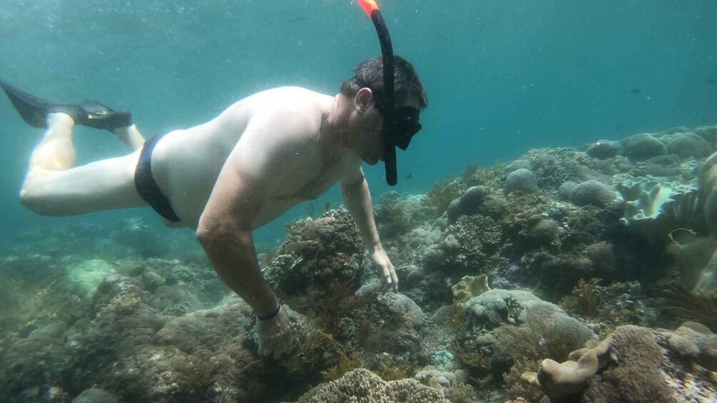 Picture 7 for Activity From Bali: Nusa Lembongan Snorkeling Mangrove and Land Tours