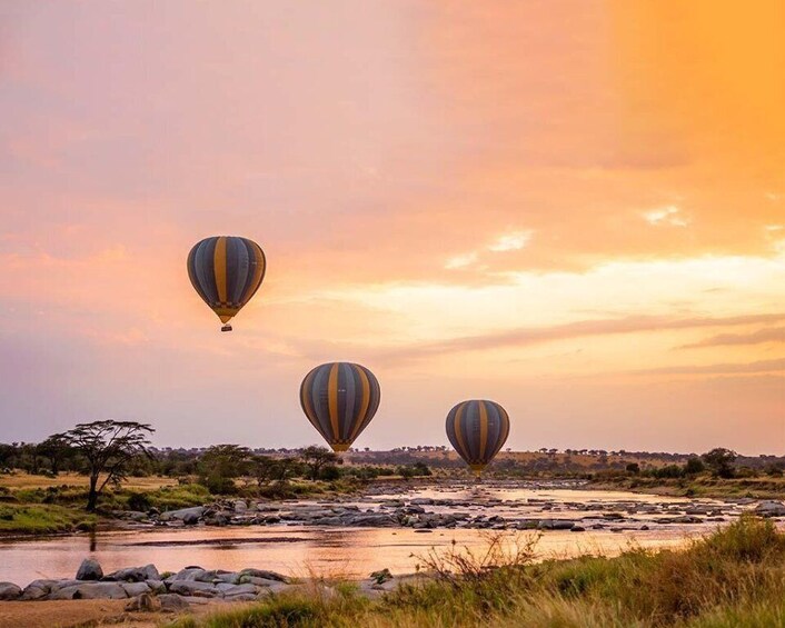 Picture 1 for Activity Serengeti: Balloon Safari and Bush Breakfast