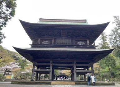 Kamakura; First Samurai Capital walking tour