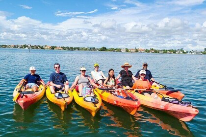 Kayak and Paddleboard Rentals at Siesta Key