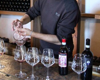 Siena: Corso di degustazione di vini classici toscani con aperitivo