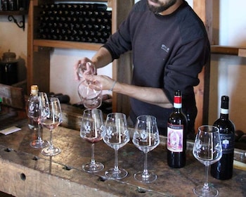 Siena: Corso di degustazione di vini classici toscani con aperitivo