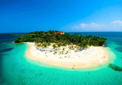 Punta Cana: Samana Bay Full-Day Experience