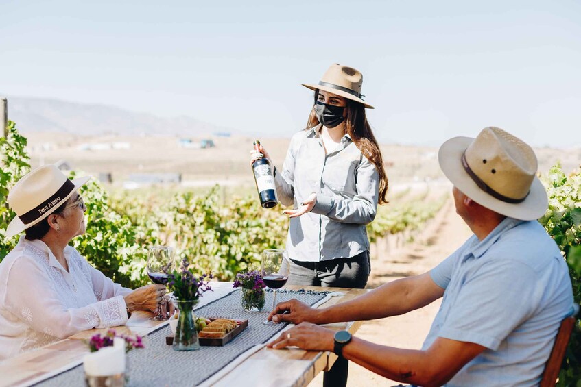 Tasting and tour through the vineyard