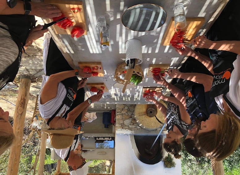 Greek Cooking Class in an Olive grove in Messinia