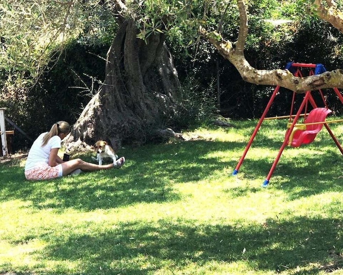 Picture 10 for Activity Greek Cooking Class in an Olive grove in Messinia