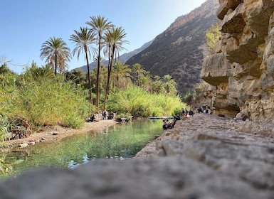 Paradise Valley mit Quad-Biking und Kamelreiten erleben