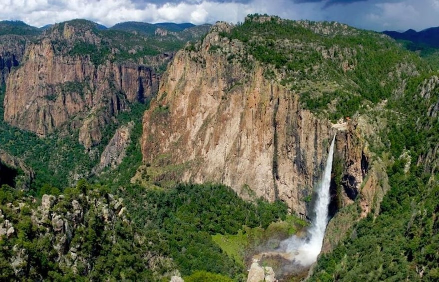 Picture 1 for Activity From Chihuahua: Basaseachi Waterfall National Park Tour