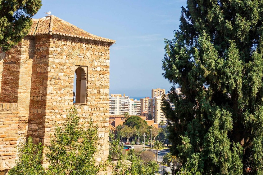 Picture 9 for Activity Malaga: Alcazaba and Roman Theatre Private Tour With Tickets