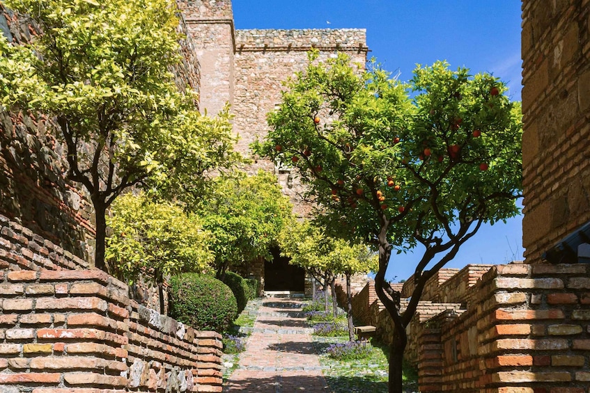 Picture 12 for Activity Malaga: Alcazaba and Roman Theatre Private Tour With Tickets