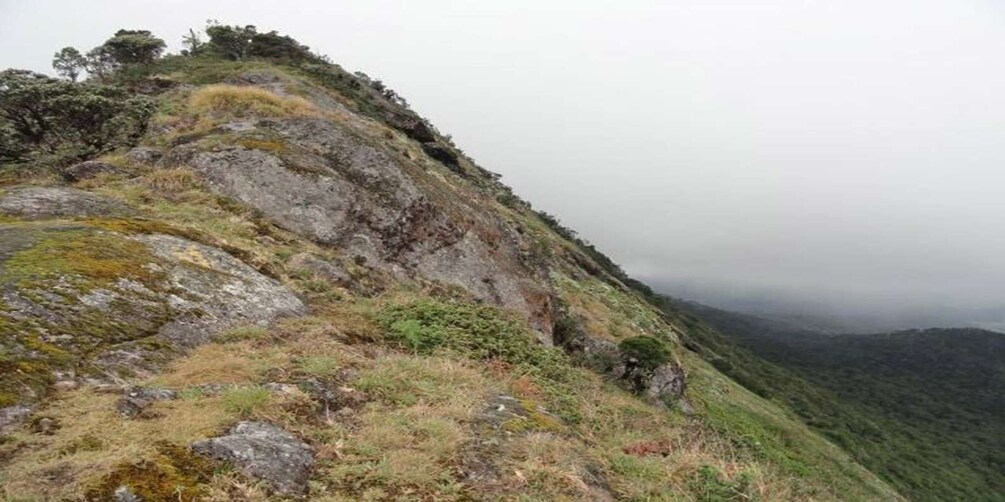 Picture 4 for Activity Kirigalpoththa Mountain Hike through Horton Plains